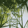 Photo of tree braches meshed between the beams of a electricity tower